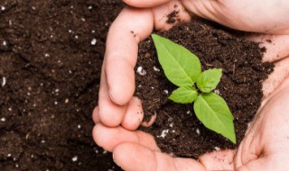 土壤修复技术有哪些 土壤修复技术有哪些?某化工厂搬迁后,其土地如何修复?