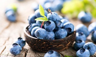 在家里怎么种蓝莓呢 在家里怎么种蓝莓呢