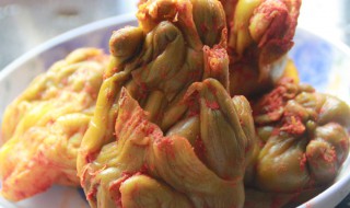 自制榨菜的腌制方法（自制榨菜的腌制方法窍门）