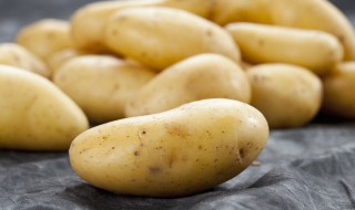 土豆怎么种植盆栽 土豆怎么种植盆栽视频