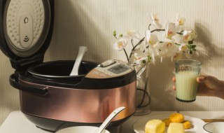 补血健脾红曲饭做法（红曲米做饭做菜方法）