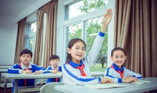 初入芦苇不知深浅的意思（初入意思是什么）