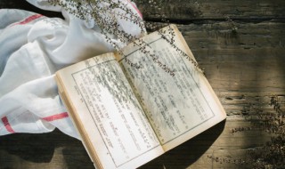 季汉月表是谁写的（季汉的季）