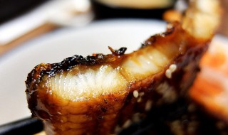 鳗鱼如何吃 鳗鱼如何吃好