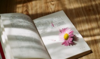 长话短说的意思（长话短说的意思四年级）