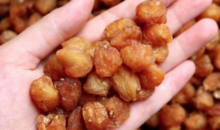 龙眼肉怎么做呢 龙眼肉的做法 最正宗的做法
