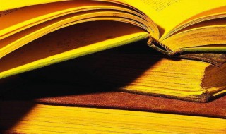 小雪节气说说短语（小雪节气说说短语大全）