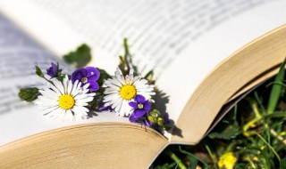 小雪到了的说说 小雪到了的说说短句