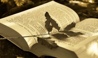 小雪节气幽默说说（小雪节气幽默说说图片）