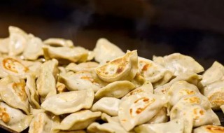 波兰饺子做法 波兰饺子做法 饥荒