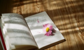 朱鸾是什么意思 朱磦是什么意思