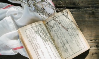 业儒是什么意思 业儒清代是什么