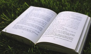 世上最暖心的情话 世上最暖心的一句话