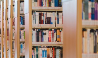 经字组词 君字组词