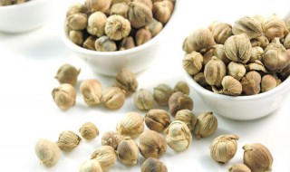 豆蔻的功效与作用有什么（豆蔻的功效与作用点的功效与作用）