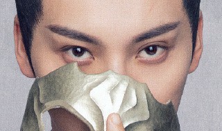 斛珠夫人剧情介绍结局 斛珠夫人剧情介绍结局