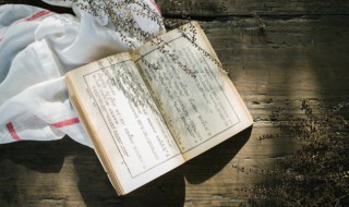 持之以恒的经典句子(做事贵在持之以恒的名言警句)