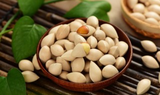 白果快速去壳方法 白果怎么去壳去皮