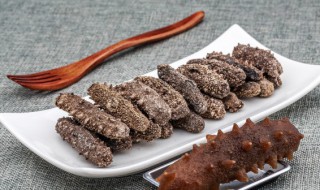 盐渍海参如何保存（盐渍海参如何保存方法）