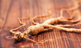 常见的人参有哪些（有哪几种人参）