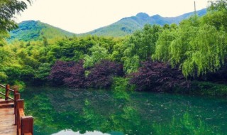 养生最好的地方有哪些（养生最好的地方是哪里）