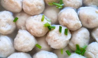 肉丸制作方法和配方 肉丸的制作方法和配方