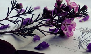 让对方看了扎心网名（让对方看了扎心网名英文）