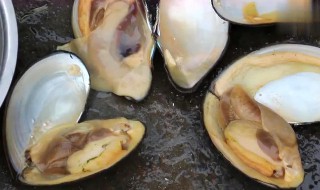 河蚌怎么洗才干净（河蚌怎么洗才干净视频）