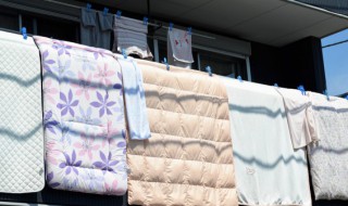 白鹅绒被子能晒太阳吗（白鹅绒被子可以晒太阳吗）