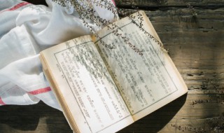 元气少女小清新网名（元气少女的网名）