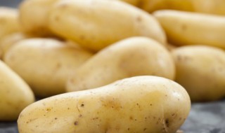 土豆怎么存放不宜发芽 土豆怎么存放才不发芽