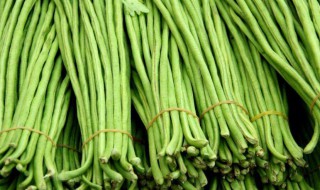 新鲜豆角如何储存 新鲜豆角如何储存时间长