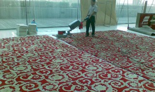 西藏地毯如何清洗 西藏地毯清洗项目申请