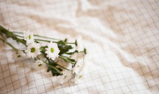 如何清洗桌布（如何清洗桌布发黄）