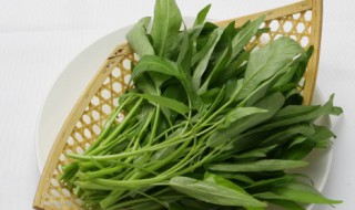 阳台种菜的方法技巧 阳台种菜的方法技巧图