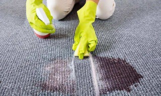 地毯怎么清洗去污渍 地毯清洗妙招