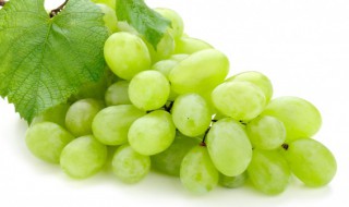 如何清洗葡萄最干净(清洗葡萄小妙招)