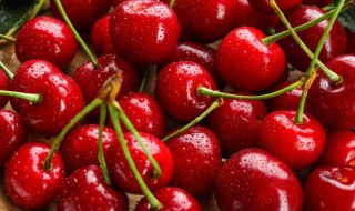 樱桃催熟的方法(樱桃如何催熟)