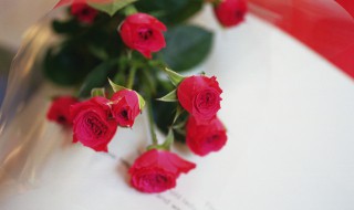 玫瑰花的做法技巧 玫瑰花的做法教程