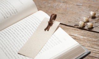 敦煌的女儿指的是谁 敦煌女儿叫什么名字