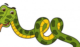 女子梦见蛇是什么意思 女子梦见蛇是什么意思解梦