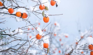 为什么冬天离太阳近反而冷 为什么冬季离太阳近却冷