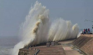 八月十八潮壮观天下无是描写哪里的大潮 钱塘江大潮介绍