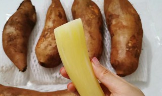 云南哪个地方出产雪莲果(云南哪个地方出产雪莲果最好)