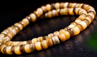 如何让骨头快速玉化 怎么让骨头快速玉化