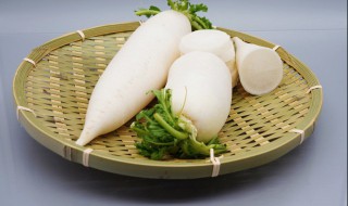 萝卜和橘子能一起吃吗（萝卜和橘子能一起吃吗会中毒吗）