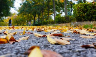 秋天悄然而至的说说 秋天悄然而至的说说朋友圈