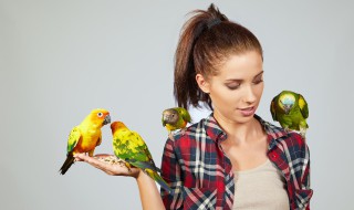 虎皮鹦鹉怕冷么 虎皮鹦鹉怕冷么为什么