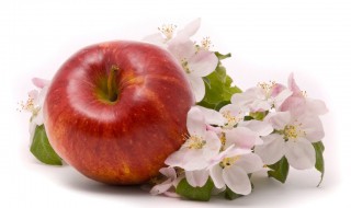 为什么要摘苹果花 为什么要种苹果树