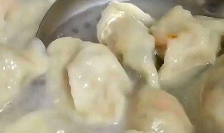 萝卜饺子的做法（素馅萝卜饺子的做法）